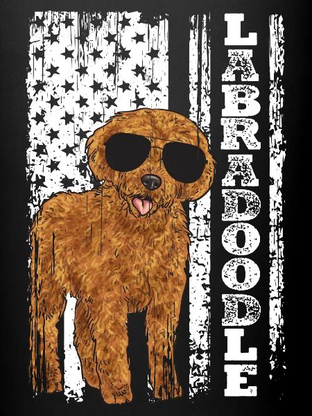 Labradoodle Hund