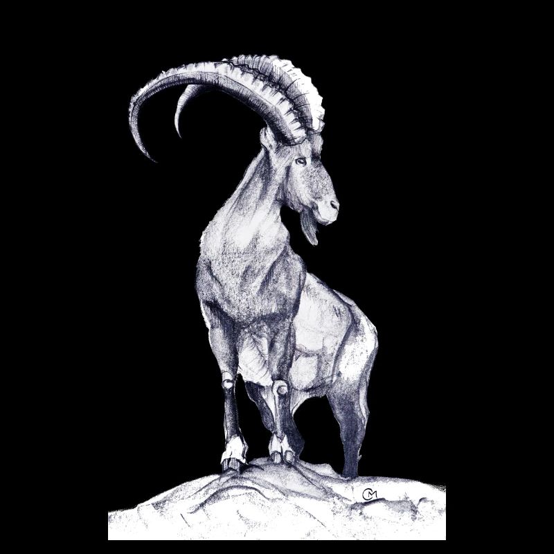 Steinbock