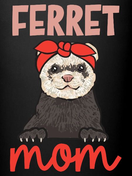 Furet, propriétaire de furet