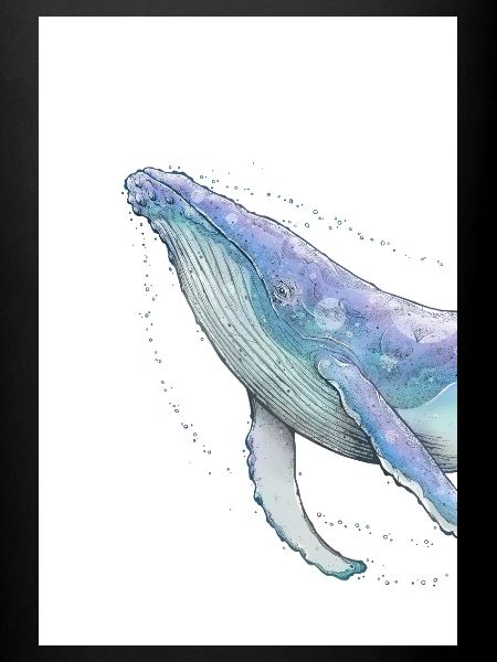 Humpback whale