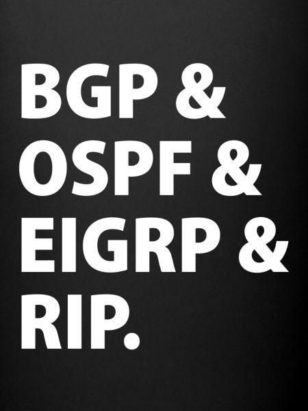 BGP & OSPF & EIGRP & RIP.