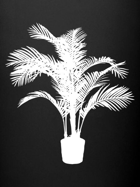 Plante d’intérieur blanche