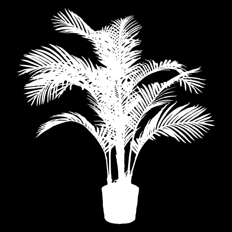 Plante d’intérieur blanche