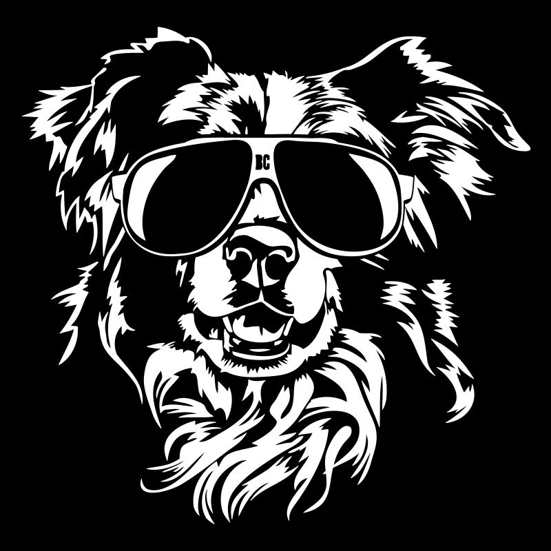 Border Collie fraîche