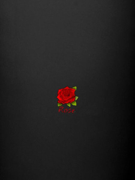 Red rose