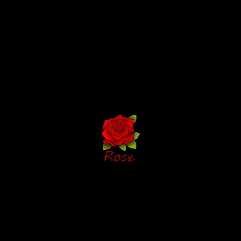 Red rose