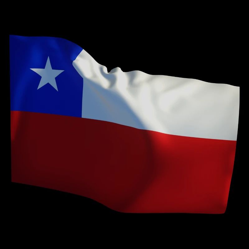 Chile Countries Flag Flag