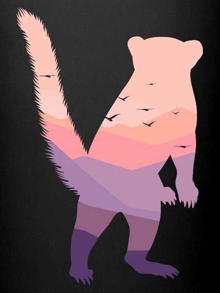 Coati