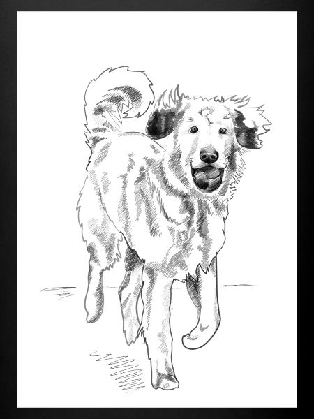 Illustration « Chien »