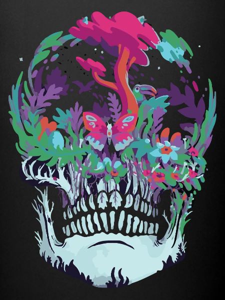 Skull nature