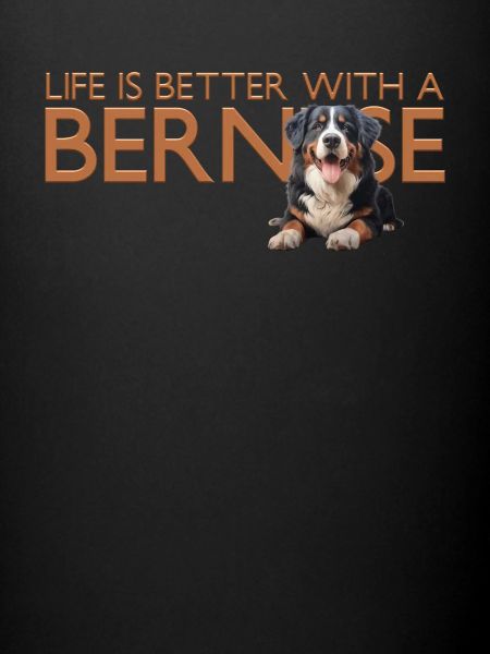 Bouvier bernois