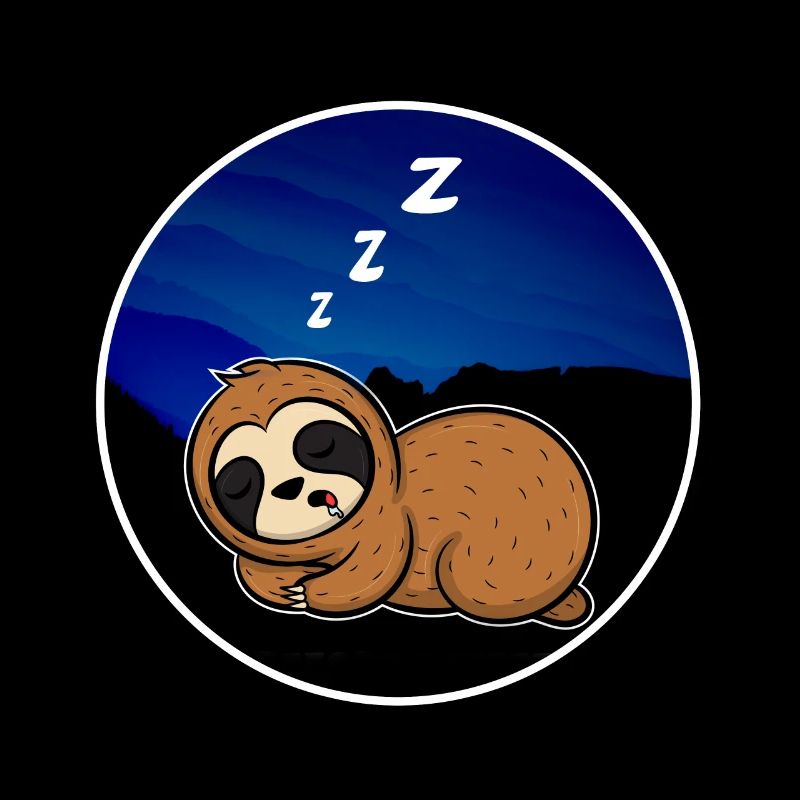 Panda sleeping zZz Geschenkidee Geschenk