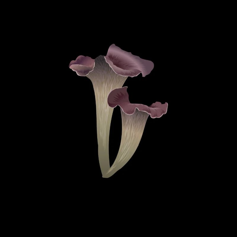 Sifflement de sifflets de trompette Champignons