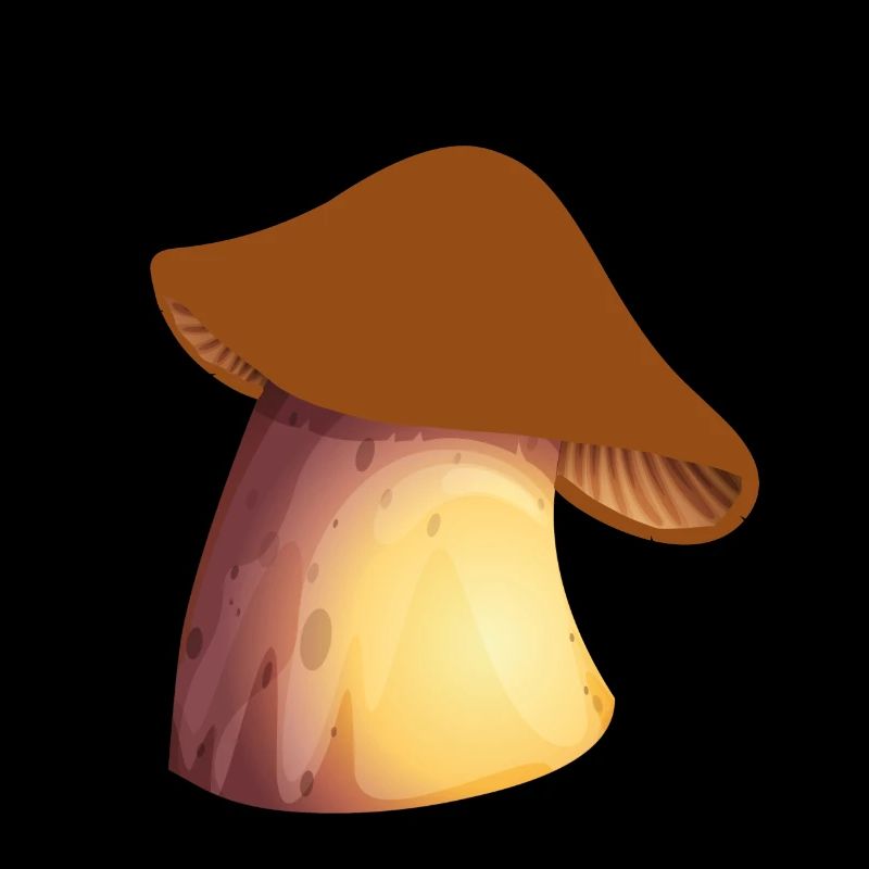 Champignons champignons champignons champignons champignons champignons