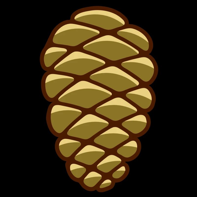 Un cône de pin