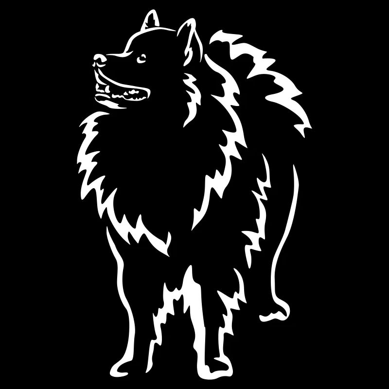 Wolfsspitz « Édition Noire »