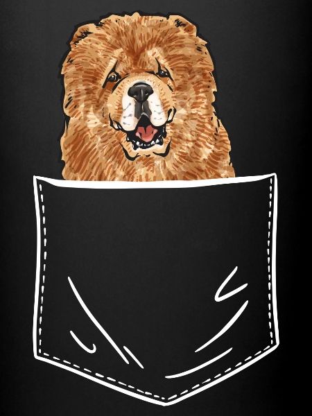 Chow Chow Chien