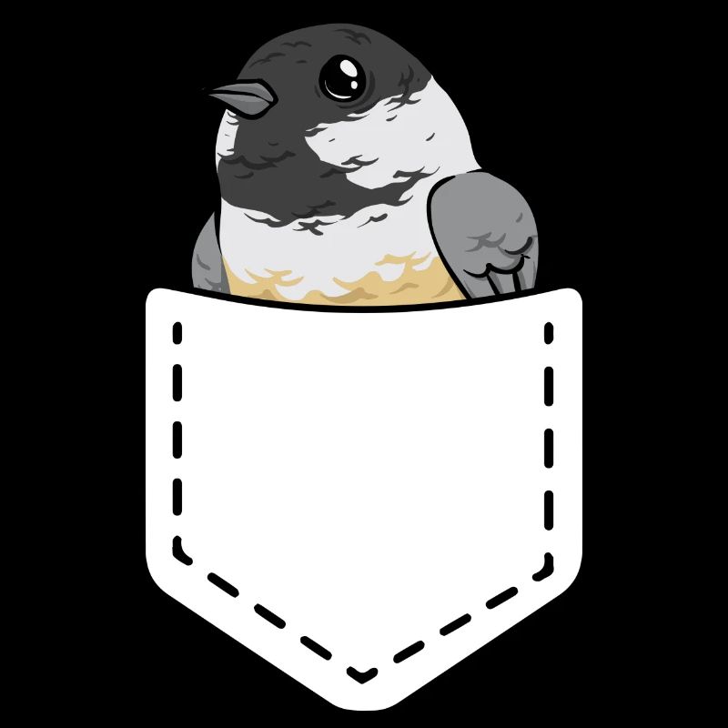 Meise Vogel Chickadee Vogelbeobachtung