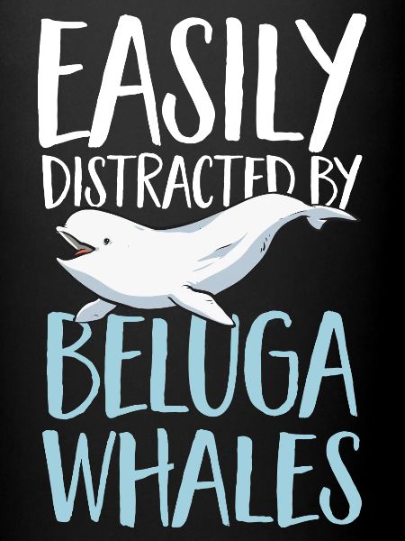Baleine blanche Béluga