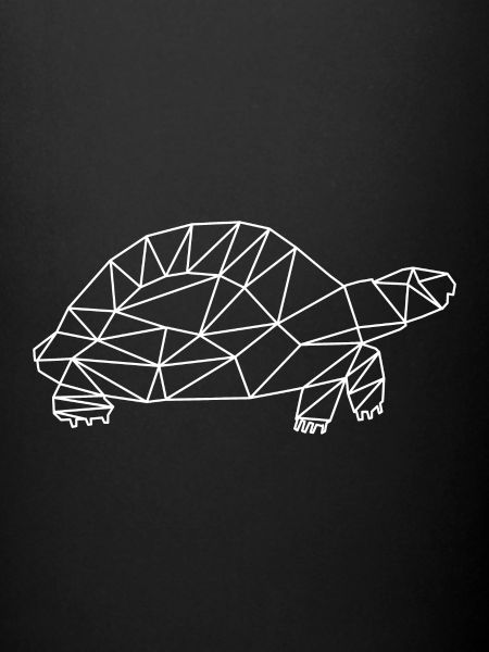 tortue