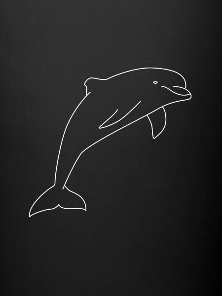 Delfin
