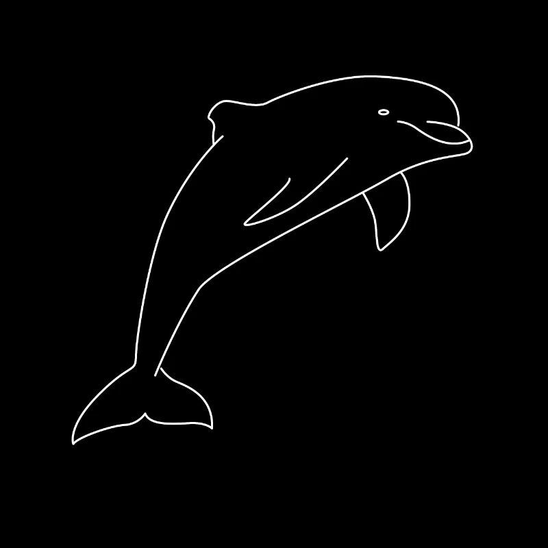 dolphin