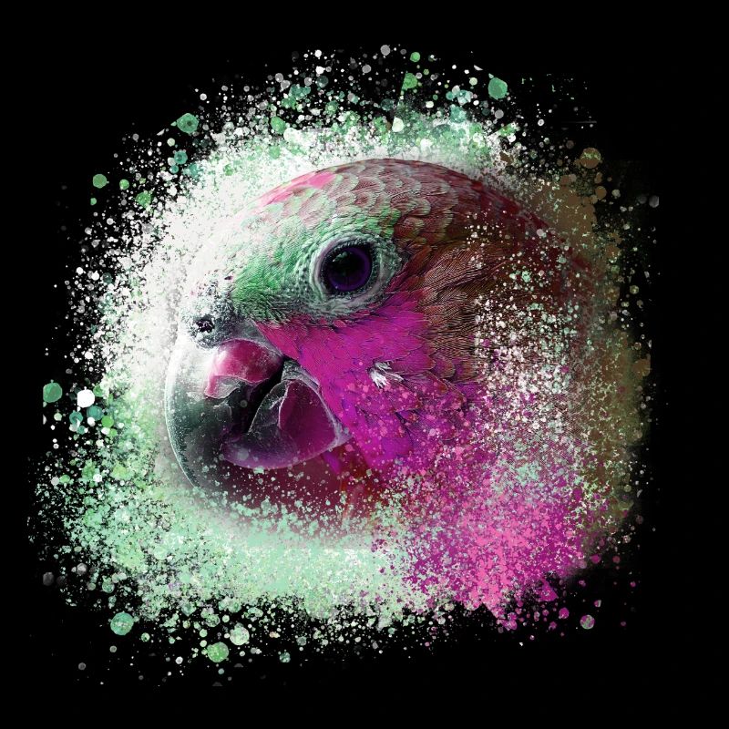 Papagei, ara, aquarell vogel, graffiti,bunt