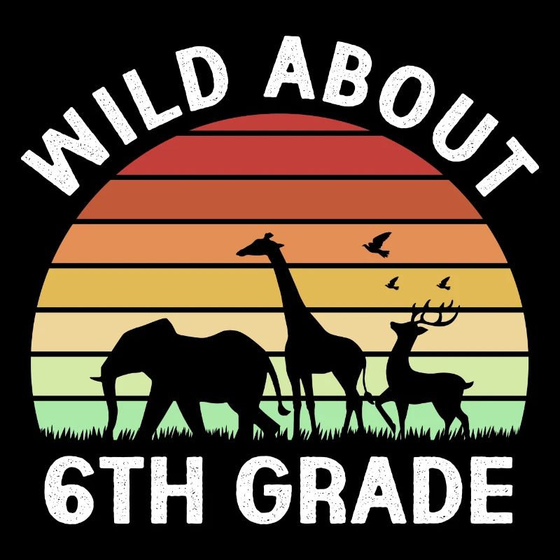 6th Grade
