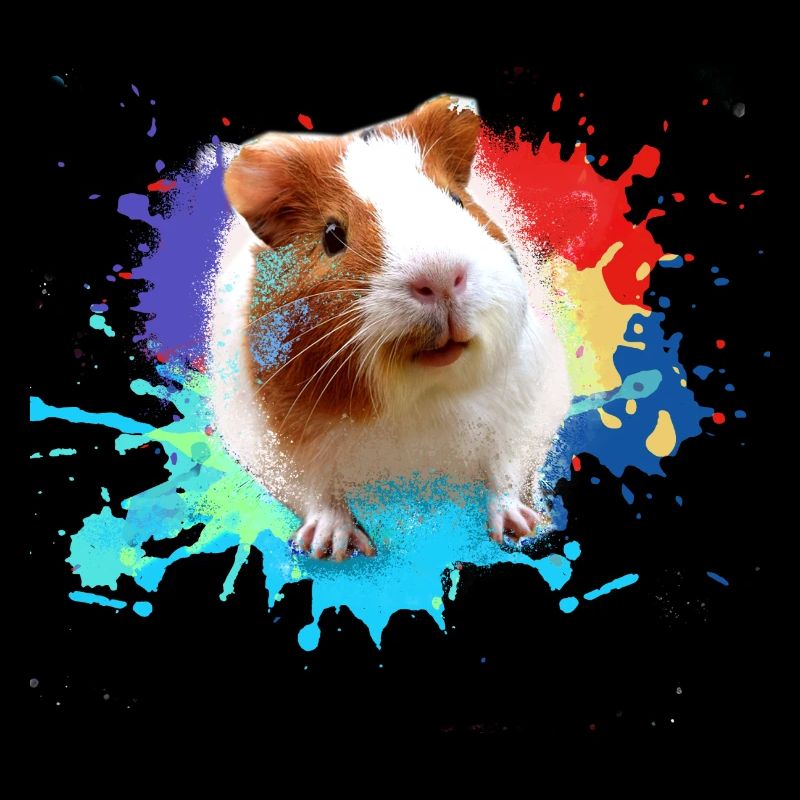 Cochons d’Inde, graffiti, peinture, coloré