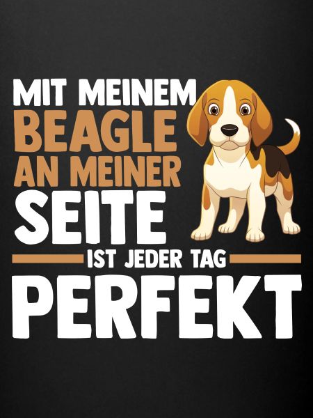 Dog Beagle