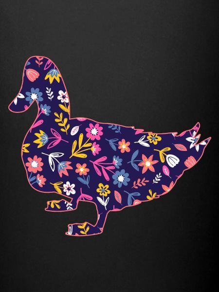 Canards