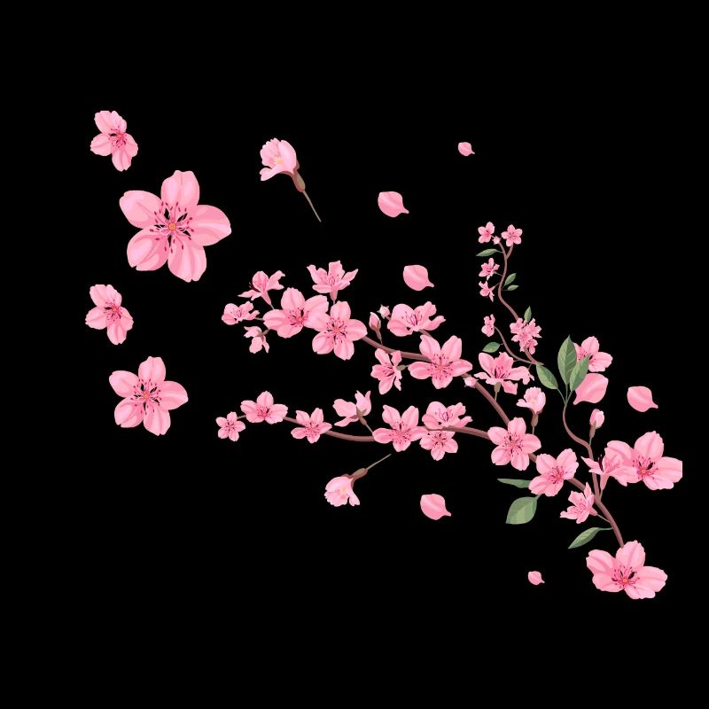Sakura, fleur de cerisier, fleurs, fleur de cerisier