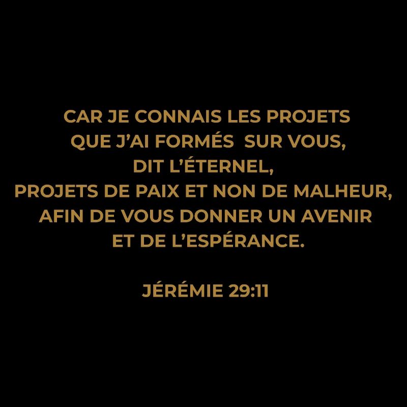 JÉRÉMIE 29 : 11 VERSET DE LA BIBLE - Version Or