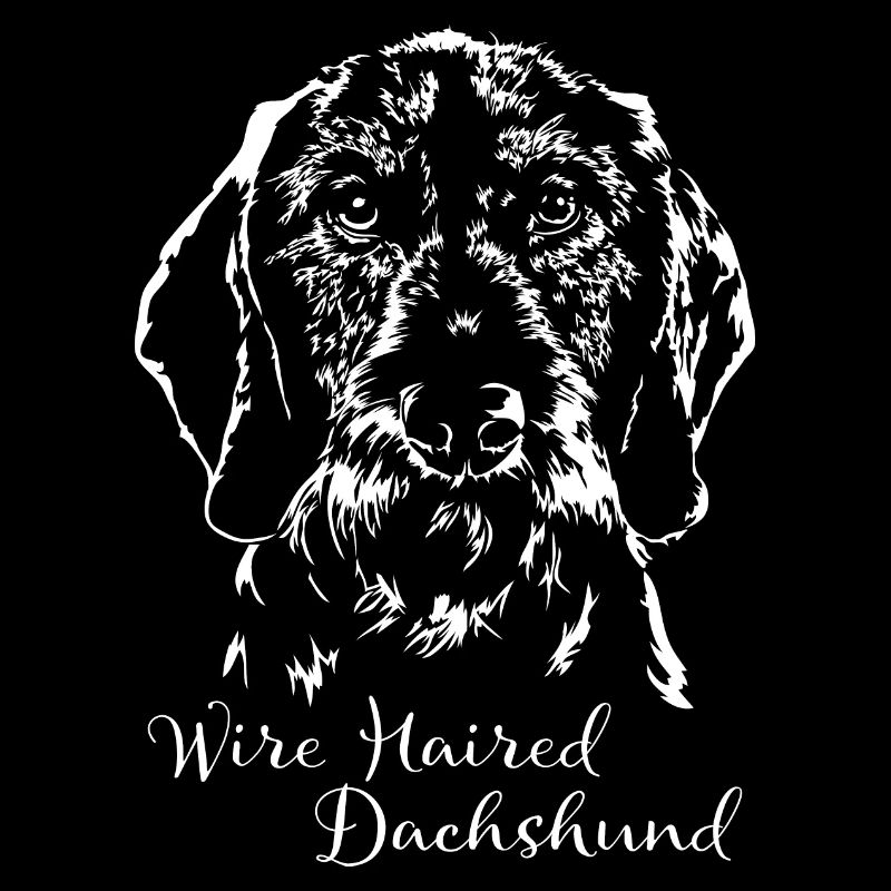 WIRE HAIRED DACHSHUND Portrait Wilsigns