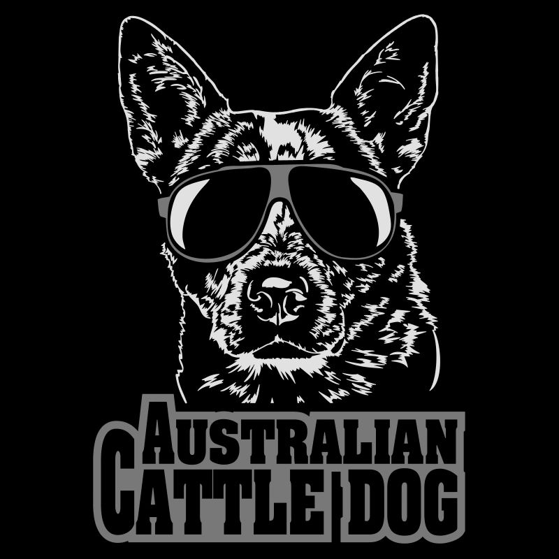 AUSTRALIAN CATTLE DOG cool Wilsigns Chiens