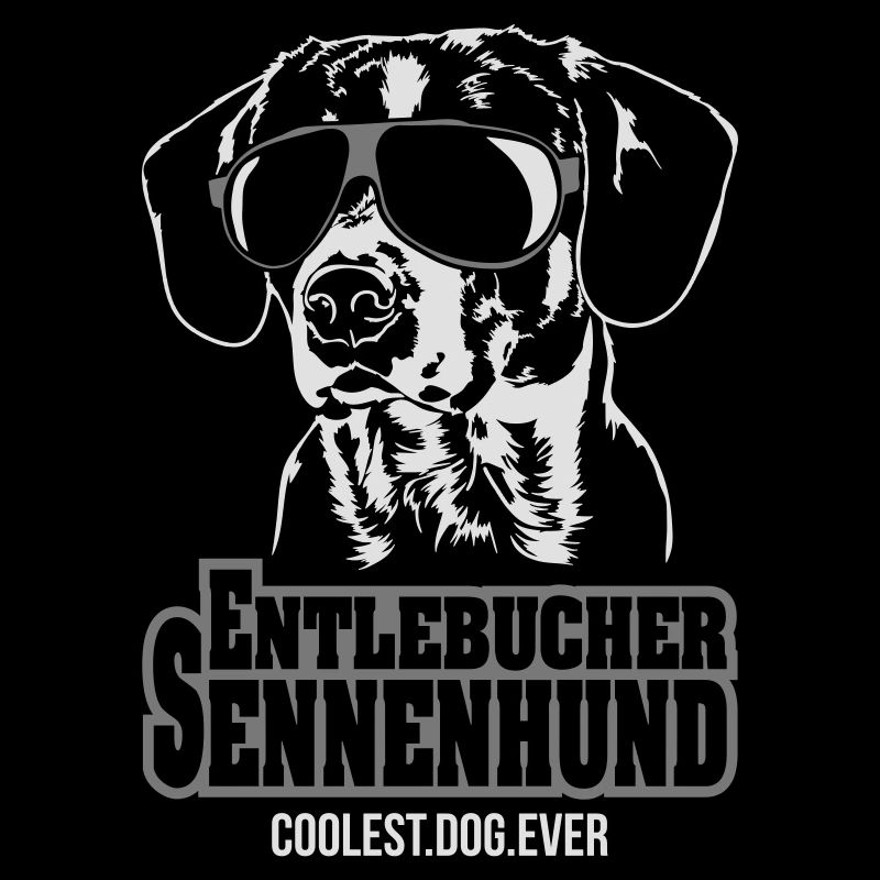 Entlebuch chien bouvier plus cool jamais