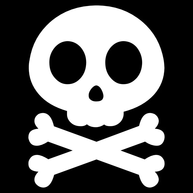 Crâne rond avec deux os