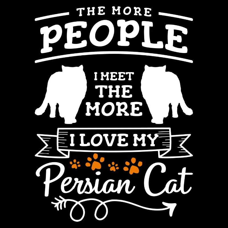 Chat persan Cat Lady