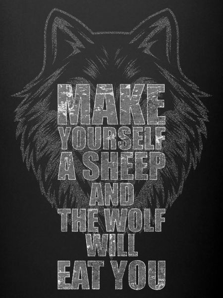 loups chien loup gris