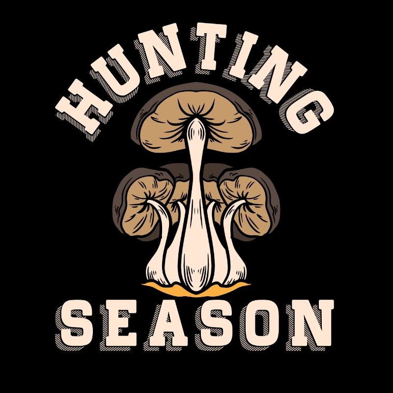 Cueillette de champignons