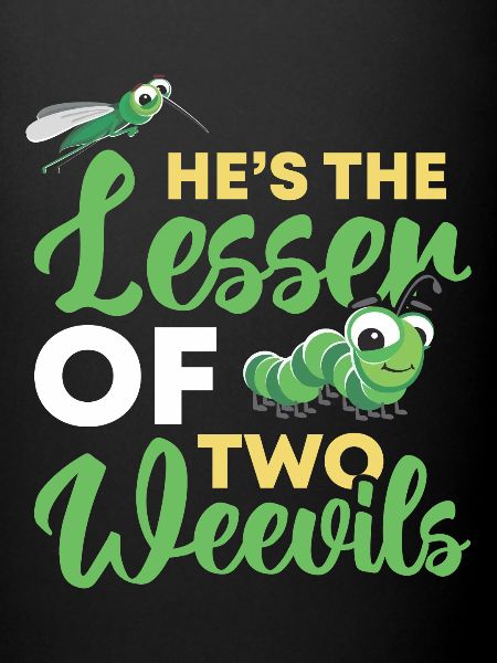 Insectes