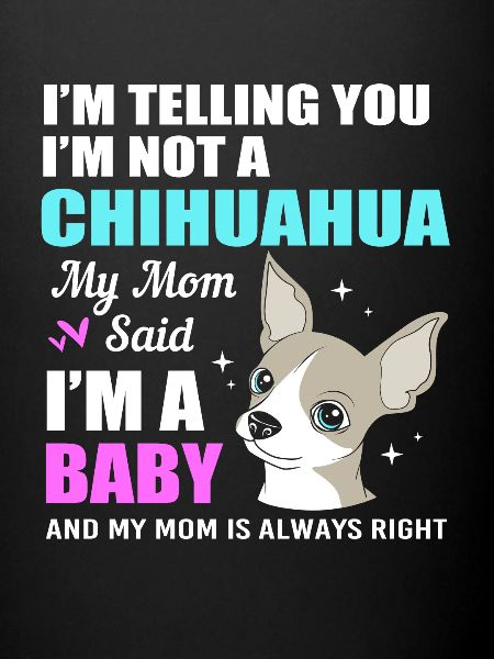 Chihuahua