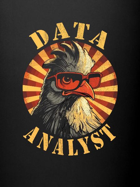 Daten Analytiker Datenschutz Beauftragter