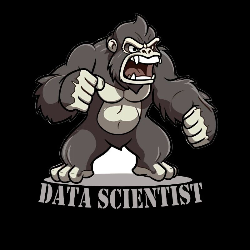 Data Analyst Data Protection Officer