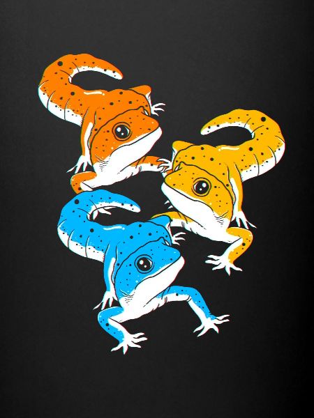 Leopard Gecko