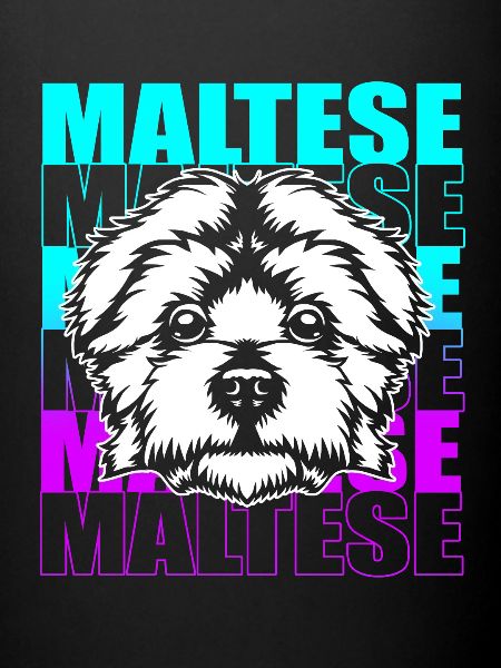 Maltese Dog