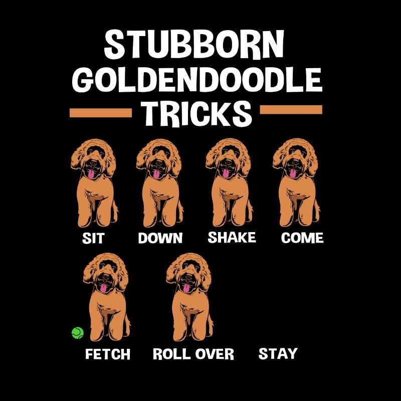 Goldendoodle
