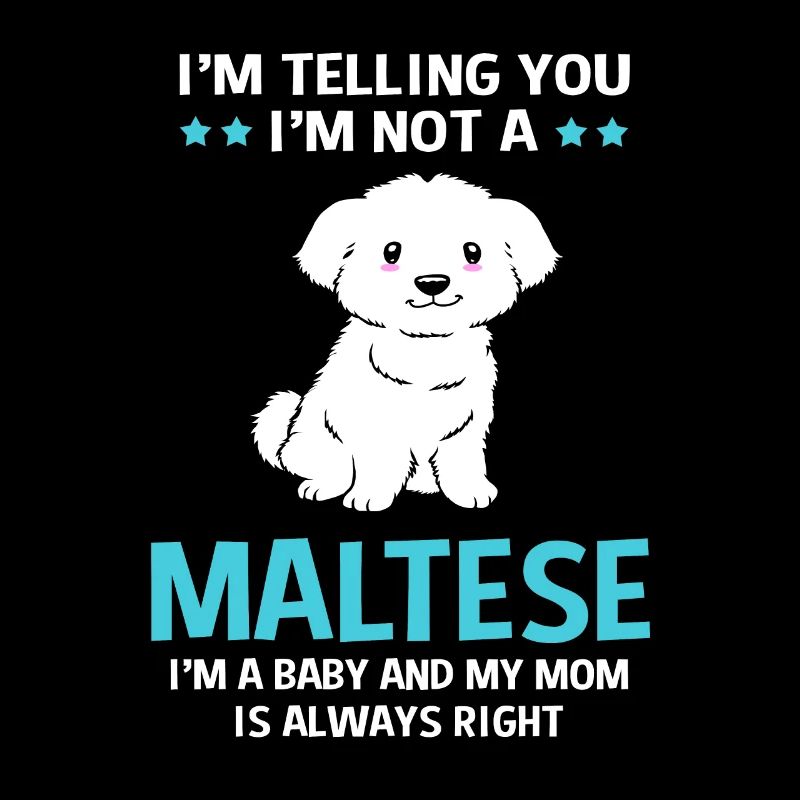 Maltese