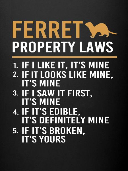 Ferret