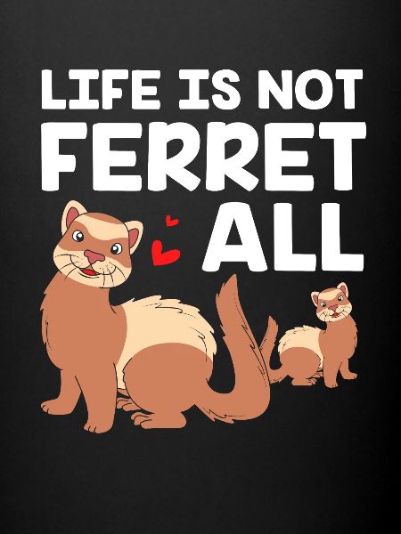 Furet